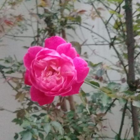 帕拉蒂Chale Da Lu别墅 外观 照片