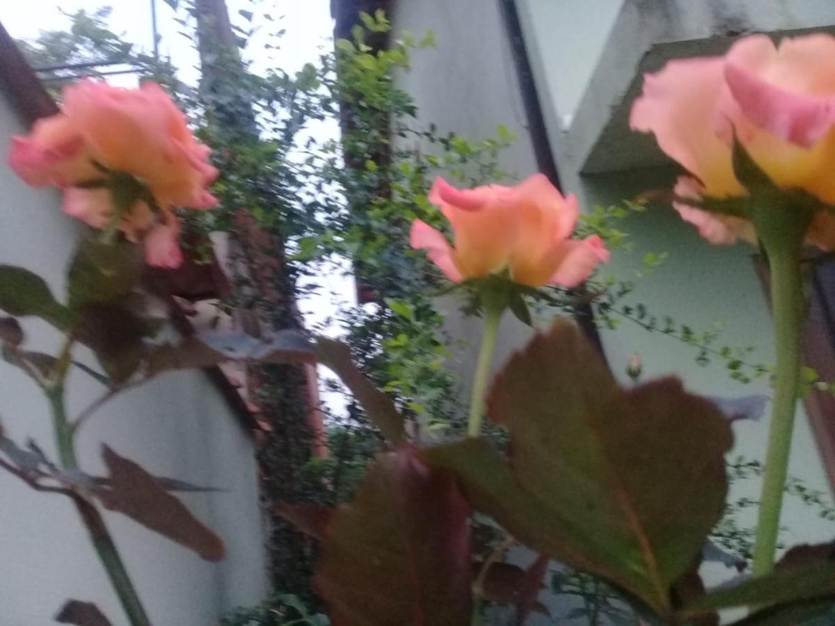 帕拉蒂Chale Da Lu别墅 外观 照片